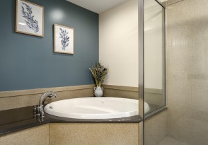 belmont201-16-primary-bath.jpg
