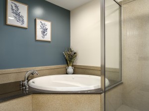 belmont201-16-primary-bath.jpg
