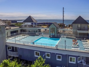 bellavistapool-0071-pool.jpg