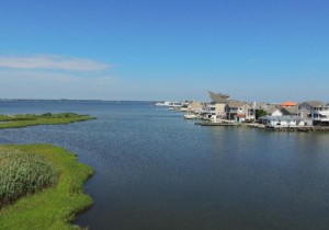 cap-209-view.jpg