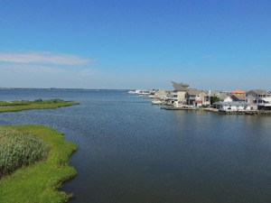 cap-209-view.jpg