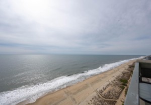 century2202-5-view.jpg