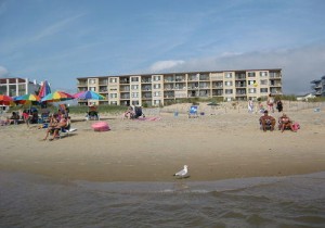 beach-opt.jpg