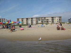 beach-opt.jpg