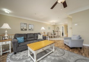isabella3-24-living-area.jpg