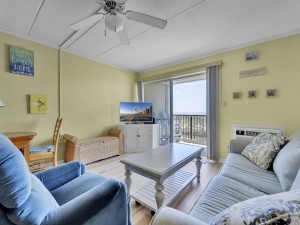 constellation207-5-living-area.jpg