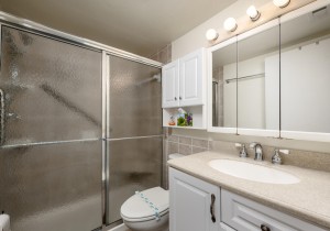 towers304-12-primary-bath.jpg