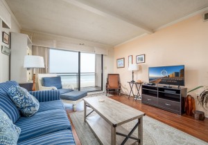 towers304-2-living-area.jpg