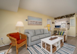 braemar412-12-living-area.jpg