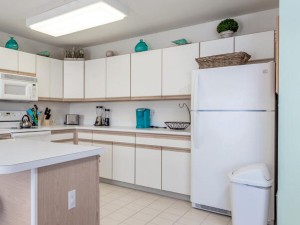harbortown204d-kitchen-croppped.jpg