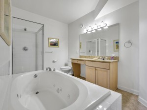 maresol505-16-primary-bath.jpg
