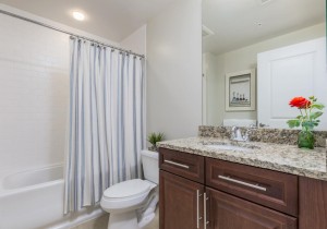 gateway1009-3bath2.jpg