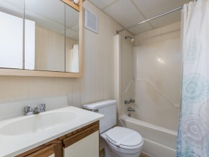 diamondhead507-9bath2.jpg