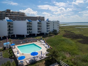 bayprincesspool-3.jpg