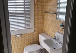 bath-1-suz.jpg