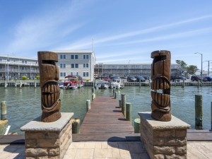 tikihouse-8.jpg