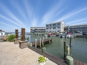 tikihouse-9.jpg