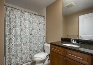 gateway505-22-bath-2-new.jpg