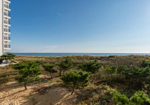 beachhill81-208-7-view.jpg