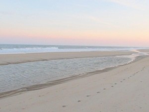 makai114-16beach.jpg