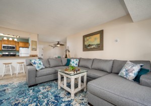 braemar1605-8-living-area.jpg