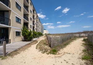 21-east-side-dune-entrance.jpg