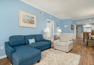 adagio204-10-living-area.jpg
