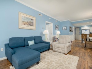 adagio204-10-living-area.jpg