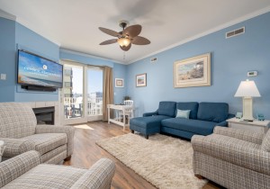 adagio204-9-living-area.jpg