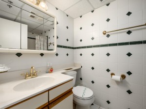 plaza1512-19-bath-2.jpg