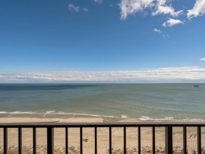 plaza1512-3-view.jpg