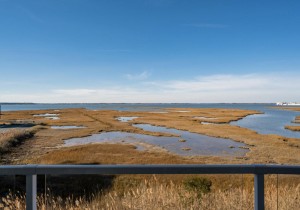 coralseas204-1-view.jpg