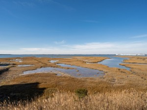 coralseas204-2-view.jpg