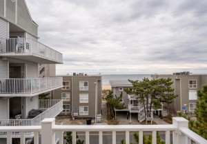 ashorething8a-3-view.jpg