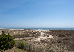oceanone105-3-pathway-to-the-beach.jpg