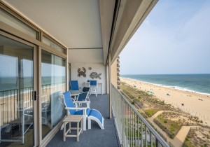 englishtowers803-5-view-north.jpg