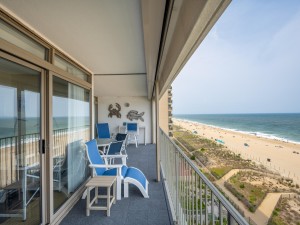 englishtowers803-5-view-north.jpg