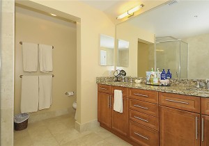 3030407-012-primary-bath-owner.jpg