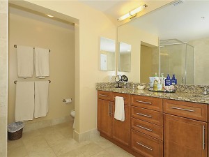 3030407-012-primary-bath-owner.jpg
