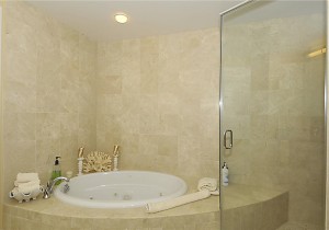 3030407-013-primary-bath-owner.jpg