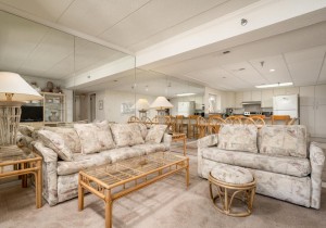 waikiki301-11-living-area.jpg