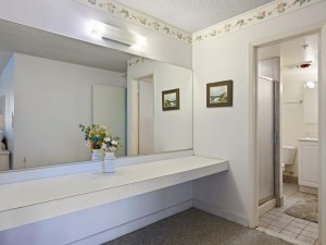 capri802-21-primary-bath.jpg