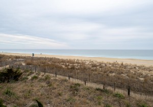 oceanwalk210-2-view.jpg