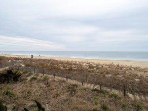 oceanwalk210-2-view.jpg
