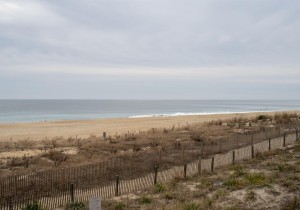 oceanwalk211-1-view.jpg