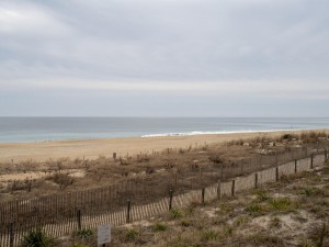 oceanwalk211-1-view.jpg