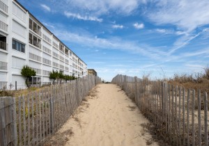 oceanwalk6-1-exterior.jpg