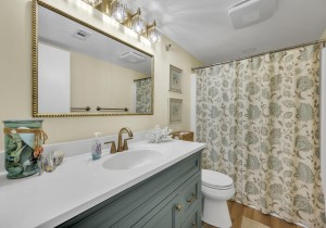 bayprincess216-20-primary-bath.jpg