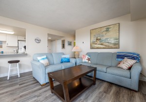 phoenix103-17-living-area.jpg