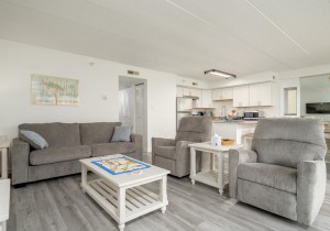 avintage201-9-living-area.jpg